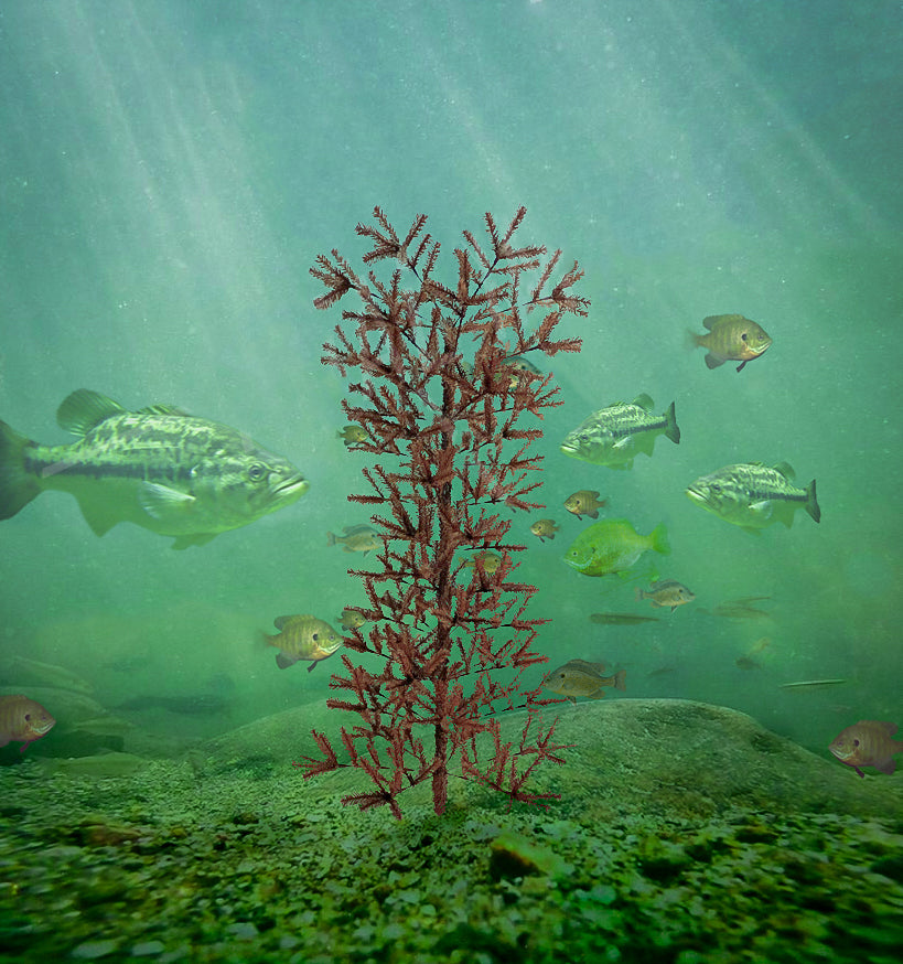 Ugly Tree Habitat - Classic Edition